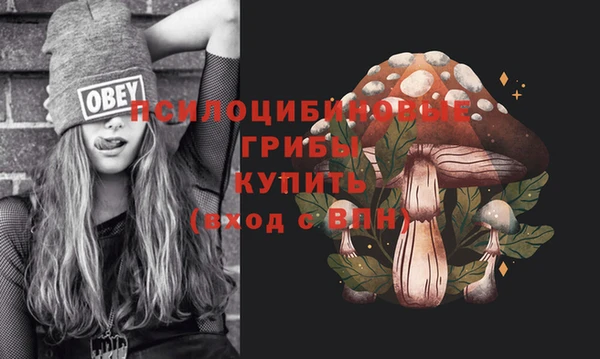 ешки Армянск