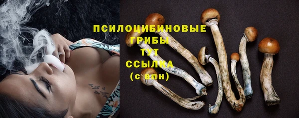 таблы Арсеньев