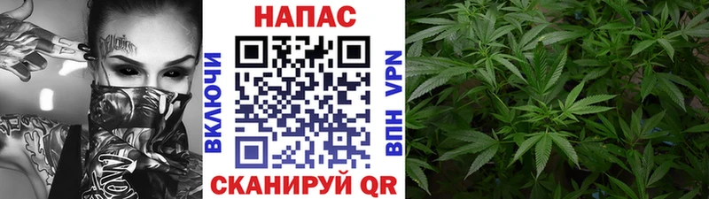 Бошки марихуана THC 21% Верхняя Салда